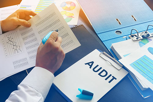 What Do Auditors Look for in a Company Audit